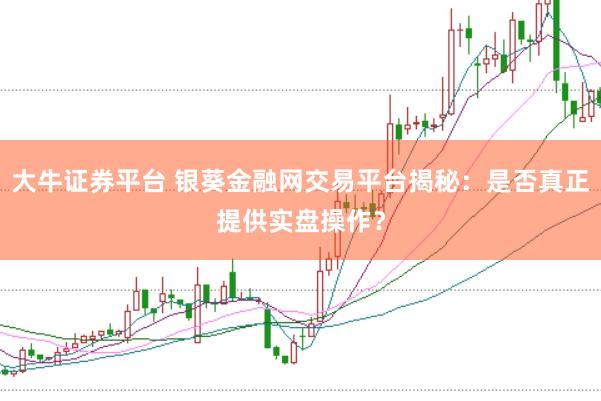 大牛证券平台 银葵金融网交易平台揭秘：是否真正提供实盘操作？