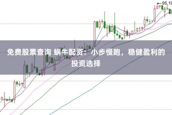 免费股票查询 蜗牛配资：小步慢跑，稳健盈利的投资选择