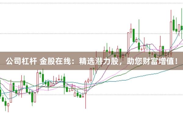 公司杠杆 金股在线：精选潜力股，助您财富增值！