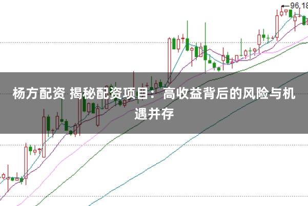 杨方配资 揭秘配资项目：高收益背后的风险与机遇并存