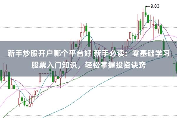 新手炒股开户哪个平台好 新手必读：零基础学习股票入门知识，轻松掌握投资诀窍