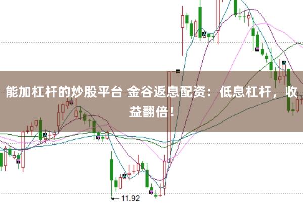 能加杠杆的炒股平台 金谷返息配资：低息杠杆，收益翻倍！