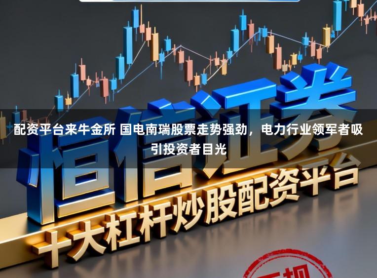 配资平台来牛金所 国电南瑞股票走势强劲，电力行业领军者吸引投资者目光