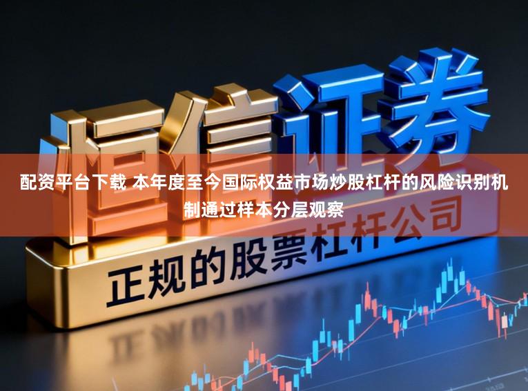 配资平台下载 本年度至今国际权益市场炒股杠杆的风险识别机制通过样本分层观察