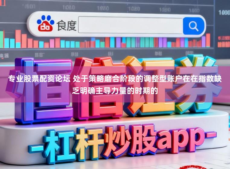 专业股票配资论坛 处于策略磨合阶段的调整型账户在在指数缺乏明确主导力量的时期的