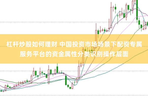 杠杆炒股如何理财 中国投资市场场景下配资专属服务平台的资金属性分类识别操作层面