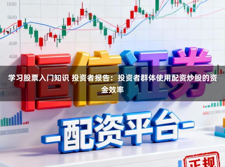 学习股票入门知识 投资者报告：投资者群体使用配资炒股的资金效率