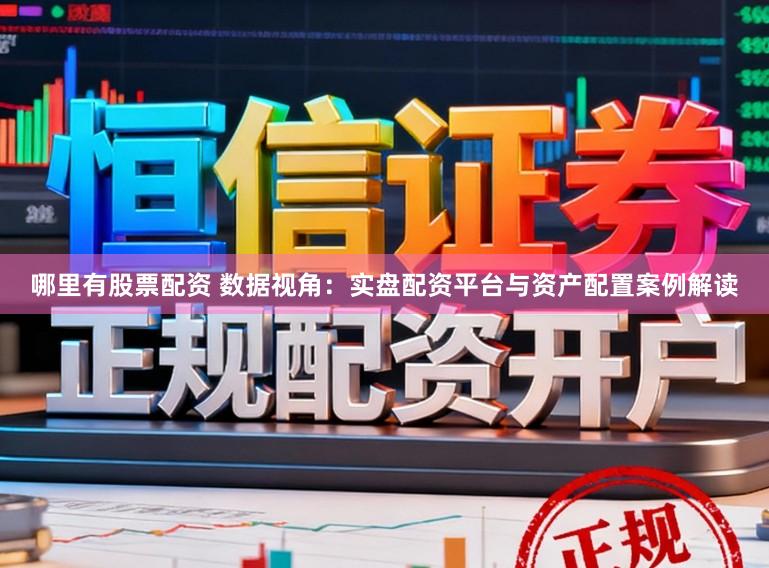 哪里有股票配资 数据视角：实盘配资平台与资产配置案例解读